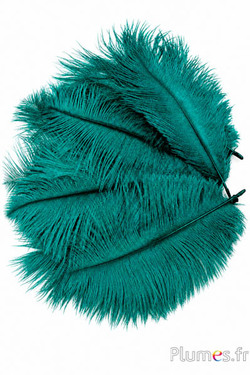 Struzzo - 13-18 cm - giada